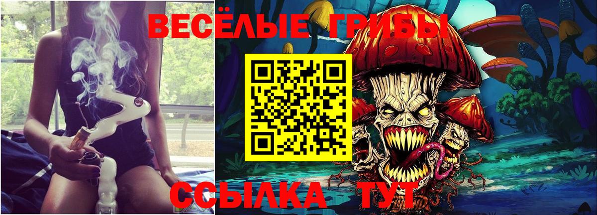 Псилоцибиновые грибы Magic Shrooms Калач-на-Дону